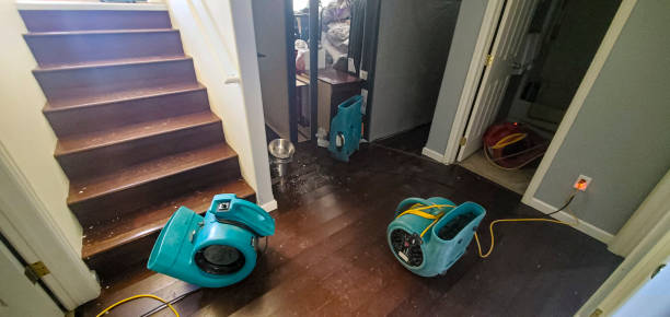 Best Flood restoration services  in Harvey, ND