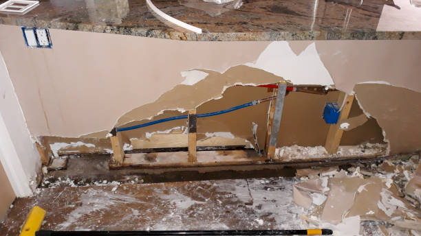 Best 24/7 water damage repair  in Harvey, ND