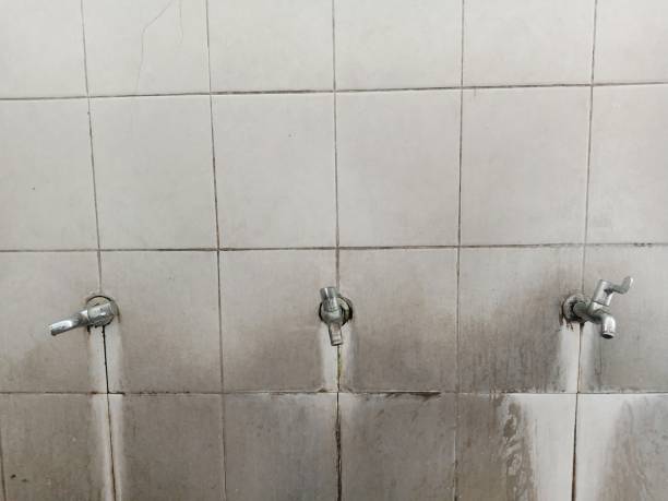 Best Water damage restoration near me  in Harvey, ND