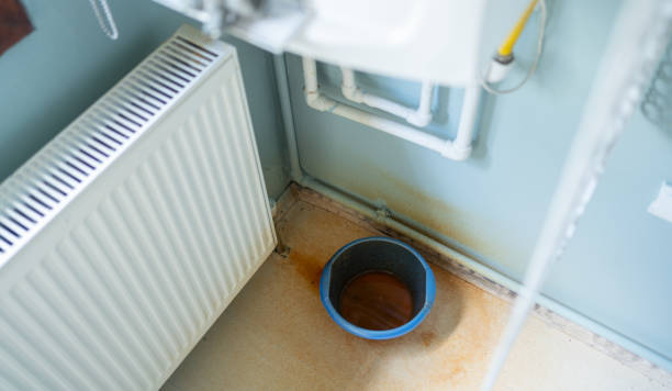 Best Basement water damage restoration  in Harvey, ND