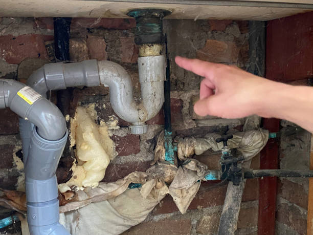 Best Carpet water damage restoration  in Harvey, ND