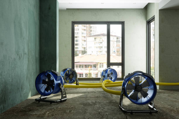 Best Water damage restoration near me  in Harvey, ND